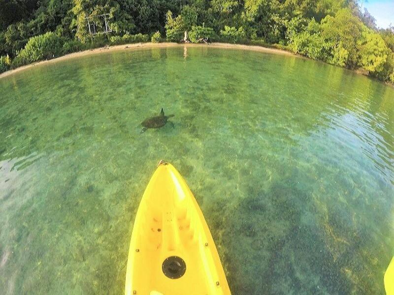 Sumatra Ecolodge Sungaipisang Exteriér fotografie