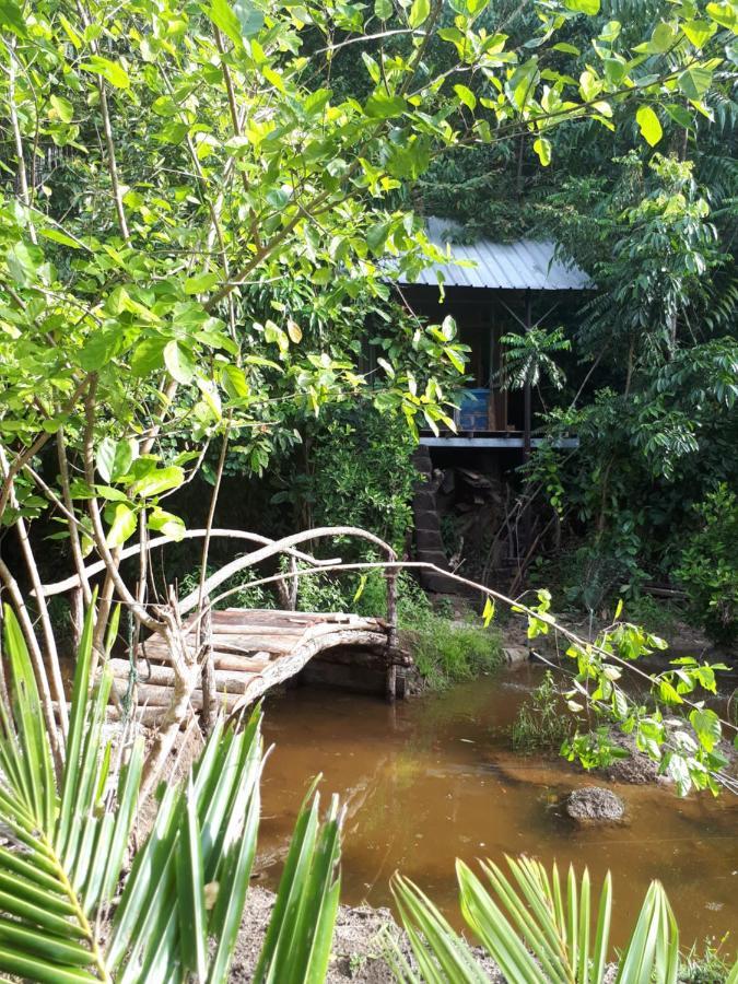 Sumatra Ecolodge Sungaipisang Exteriér fotografie