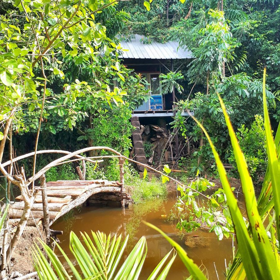 Sumatra Ecolodge Sungaipisang Exteriér fotografie