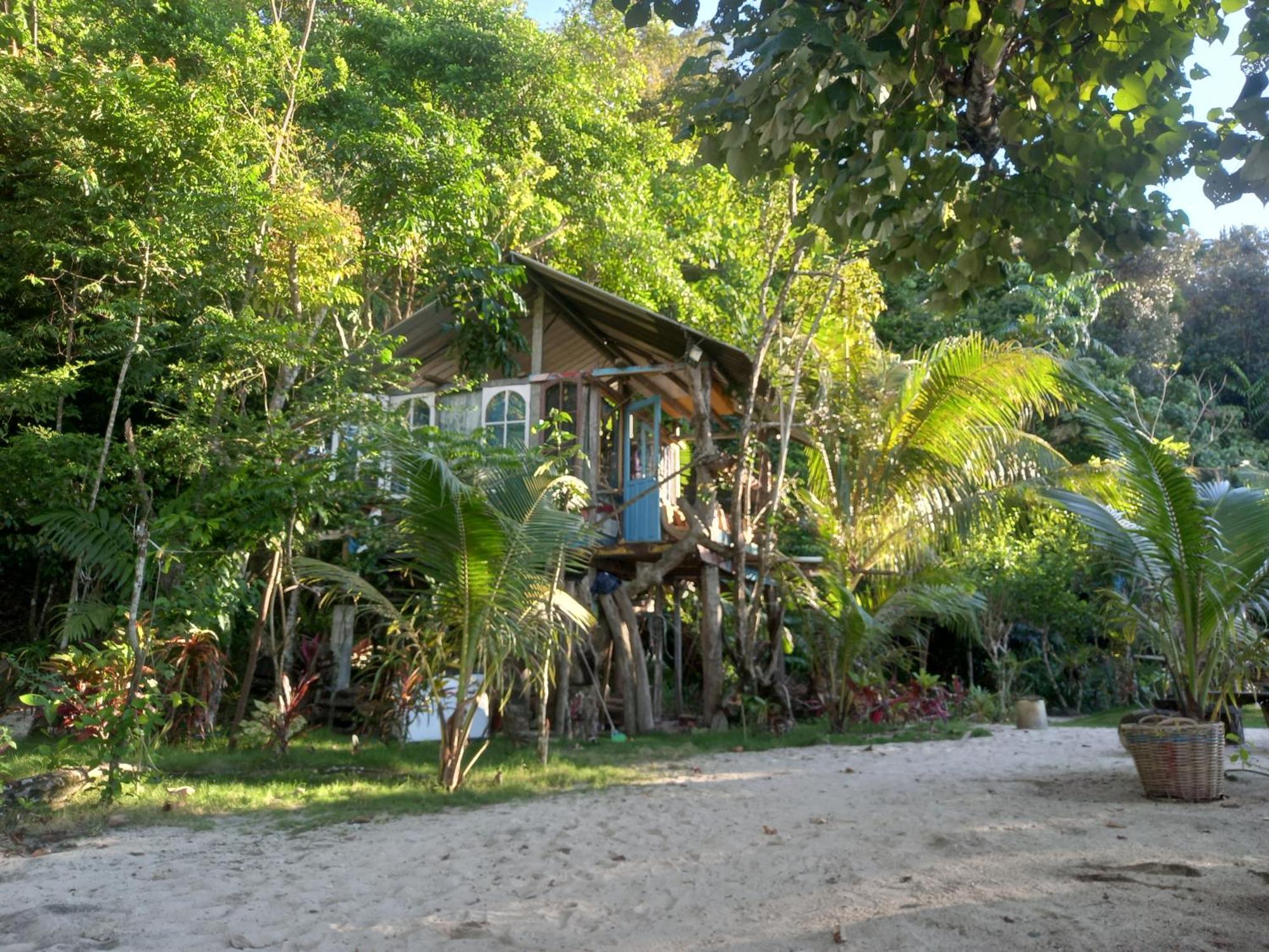 Sumatra Ecolodge Sungaipisang Pokoj fotografie