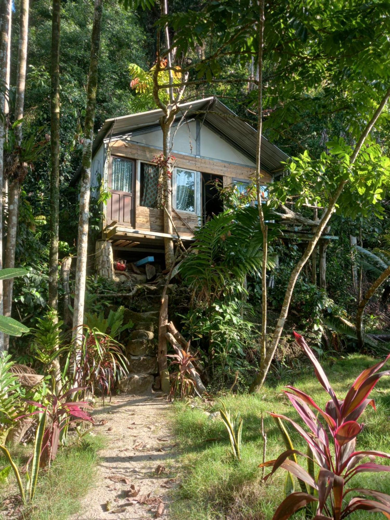 Sumatra Ecolodge Sungaipisang Exteriér fotografie