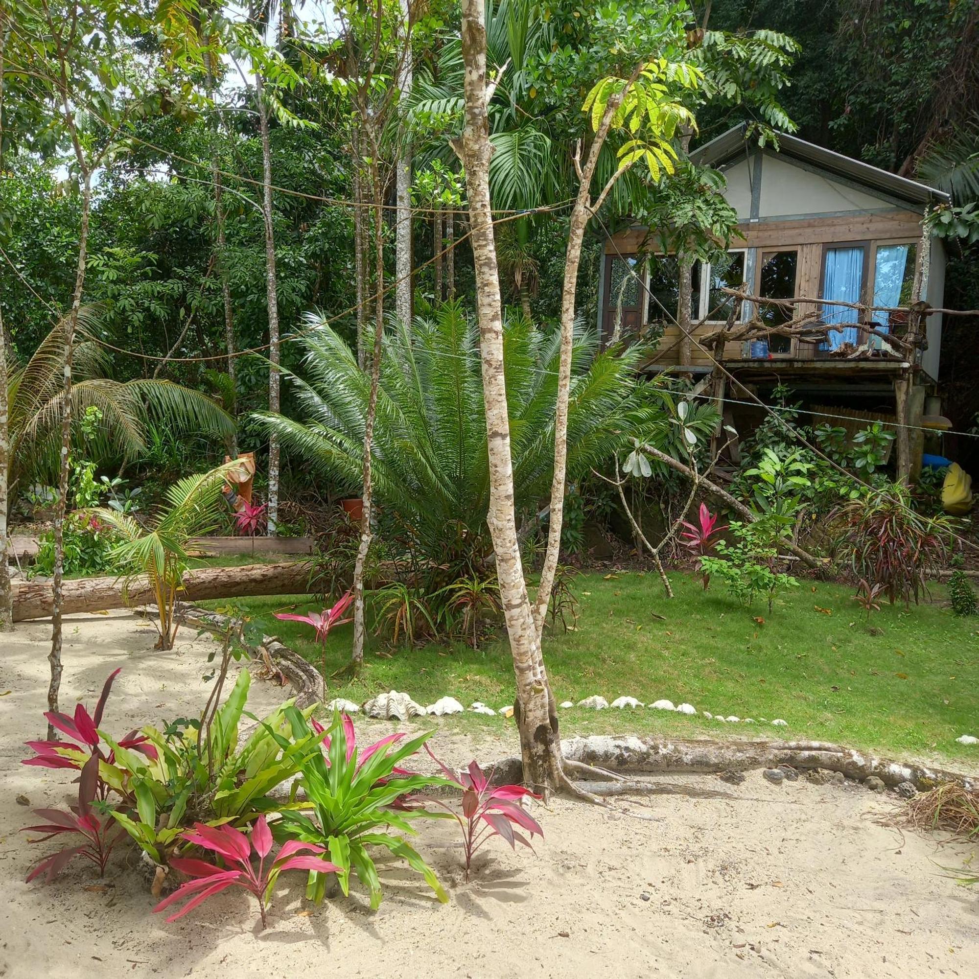 Sumatra Ecolodge Sungaipisang Pokoj fotografie